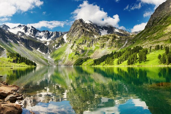 Die Alpen in der Reflexion eines schönen Sees