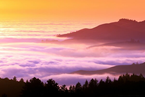 Fliedernebel über Wald und Bergen bei Sonnenuntergang