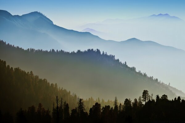 Montañas multicolores y bosques en la niebla