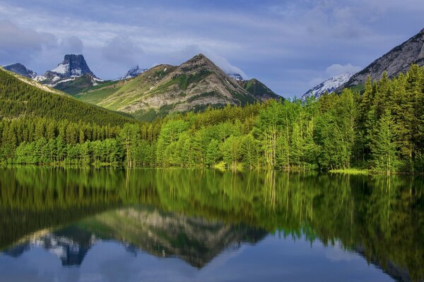 Spiegelbild des Waldes in der Oberfläche des Sees