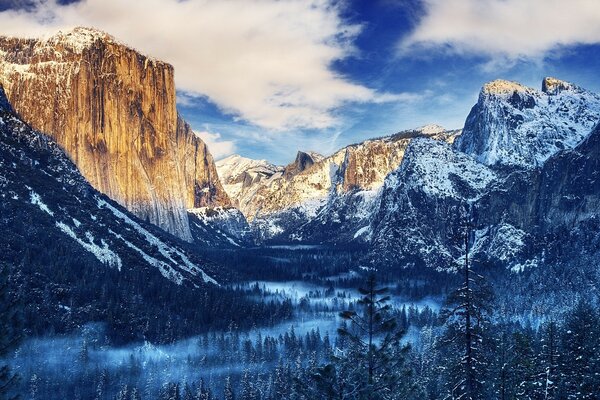 Yellowstone National Park in winter