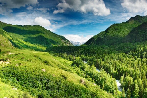 Giornata estiva soleggiata in montagna