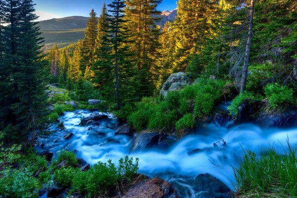 Paesaggio di un fiume di montagna tempestoso