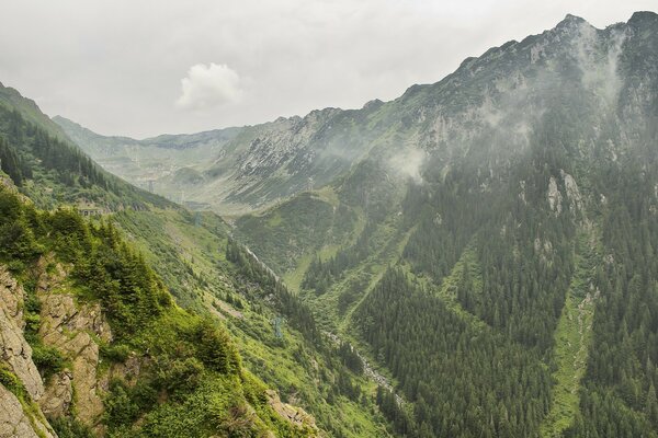 Nature of the mountains in the morning fog