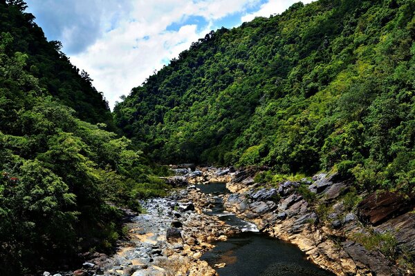 हरी ढलानों के बीच माउंटेन रीया