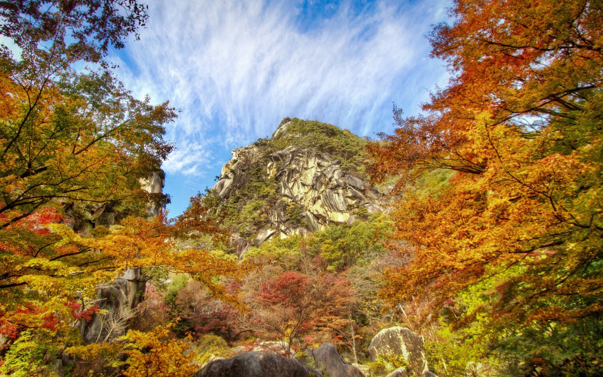 montagna autunno foglia paesaggio natura albero legno scenico all aperto parco stagione acero paesaggio montagna scena ambiente viaggi luce del giorno trekking bel tempo