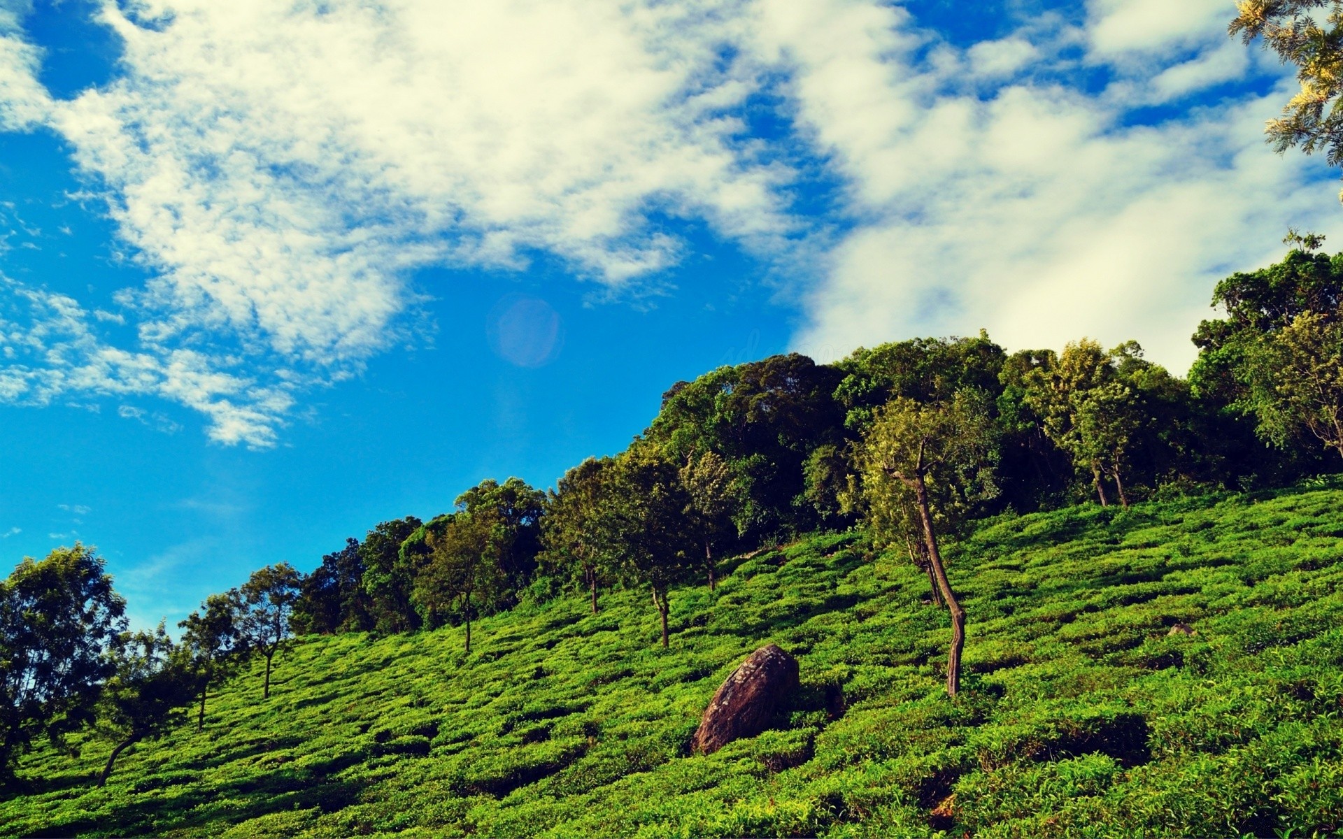 berge landschaft natur baum himmel im freien hügel reisen gras berge landschaftlich feld landwirtschaft sommer holz tageslicht des ländlichen des ländlichen raums heuhaufen wolke