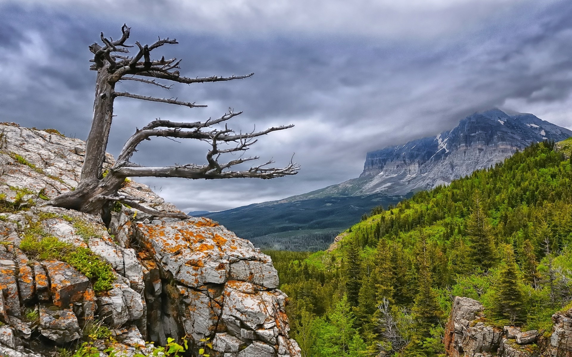 mountains nature mountain travel outdoors sky landscape wood rock tree scenic snow summer water high rocky valley wild hike