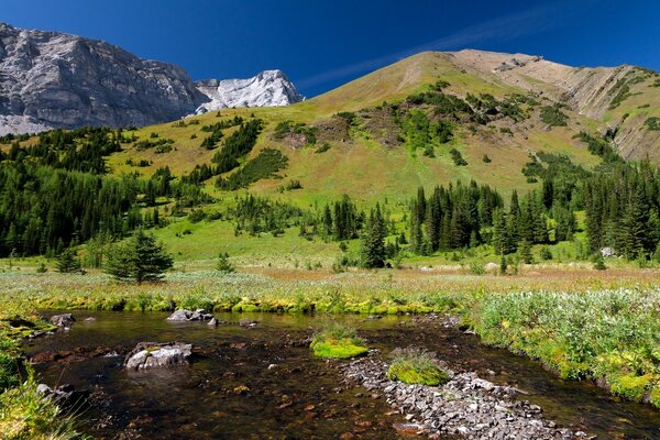 A trip to the mountains. Nature.. Landscape