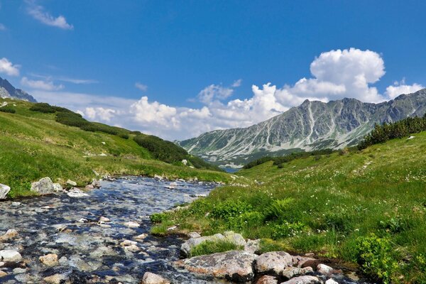 Тау өзеніне саяхат