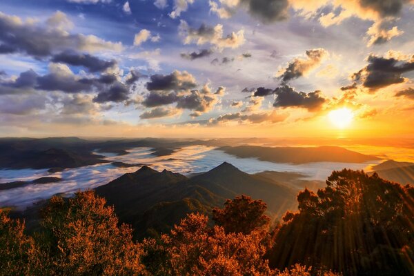 Trees and mountains in the rays of the sun at dawn