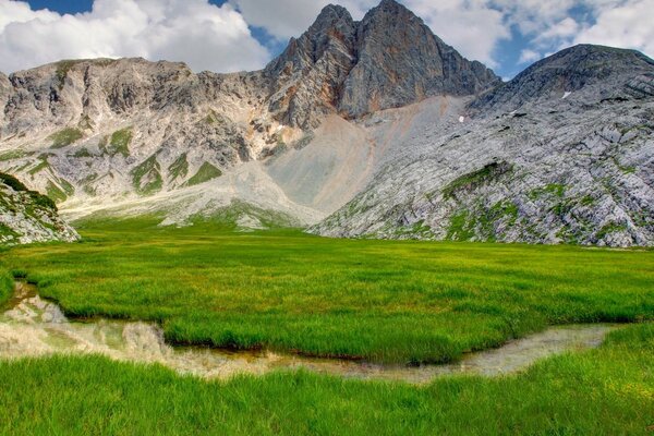 Grüner Fuß des Berges. Die Natur