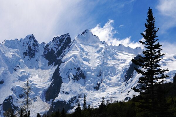 Snowy peaks of high mountains