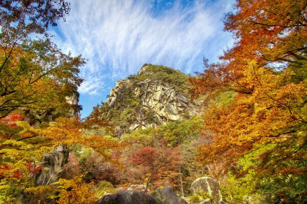 Vista de la montaña a través del bosque de otoño