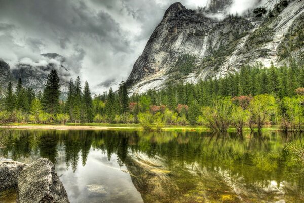 Riflesso della foresta e delle montagne nel lago contro il cielo grigio