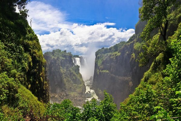 Wildlife. Green mountains and a waterfall against a blue sky