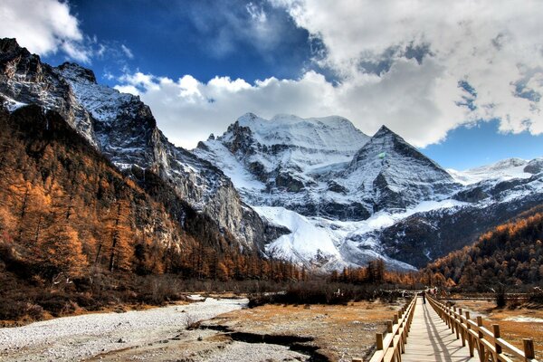 Frescura di montagna vicino al sentiero di legno