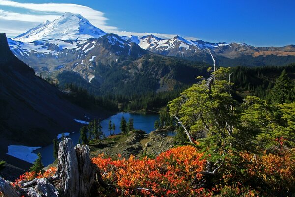 Beautiful view of the mountains, forest, lake from above