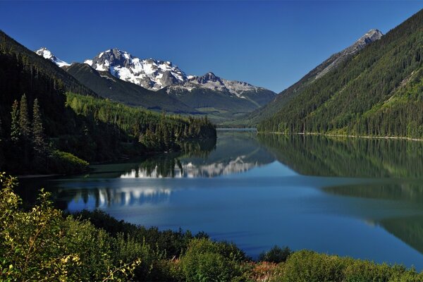 Mountain lake in summer