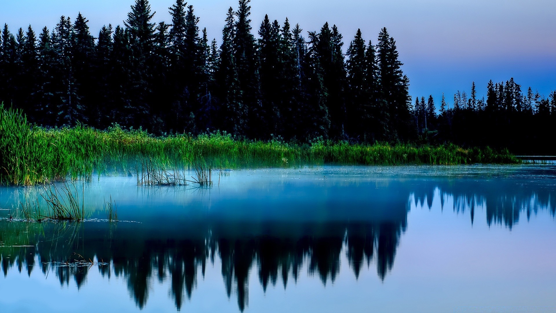 lake reflection water nature outdoors wood tree landscape river