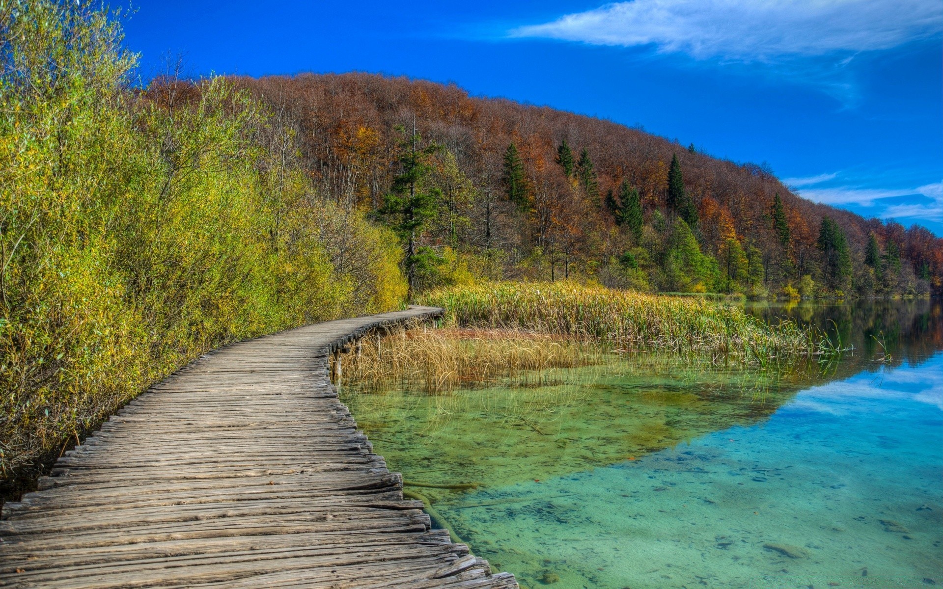 lake nature water landscape wood sky travel tree scenic outdoors river mountain summer grass