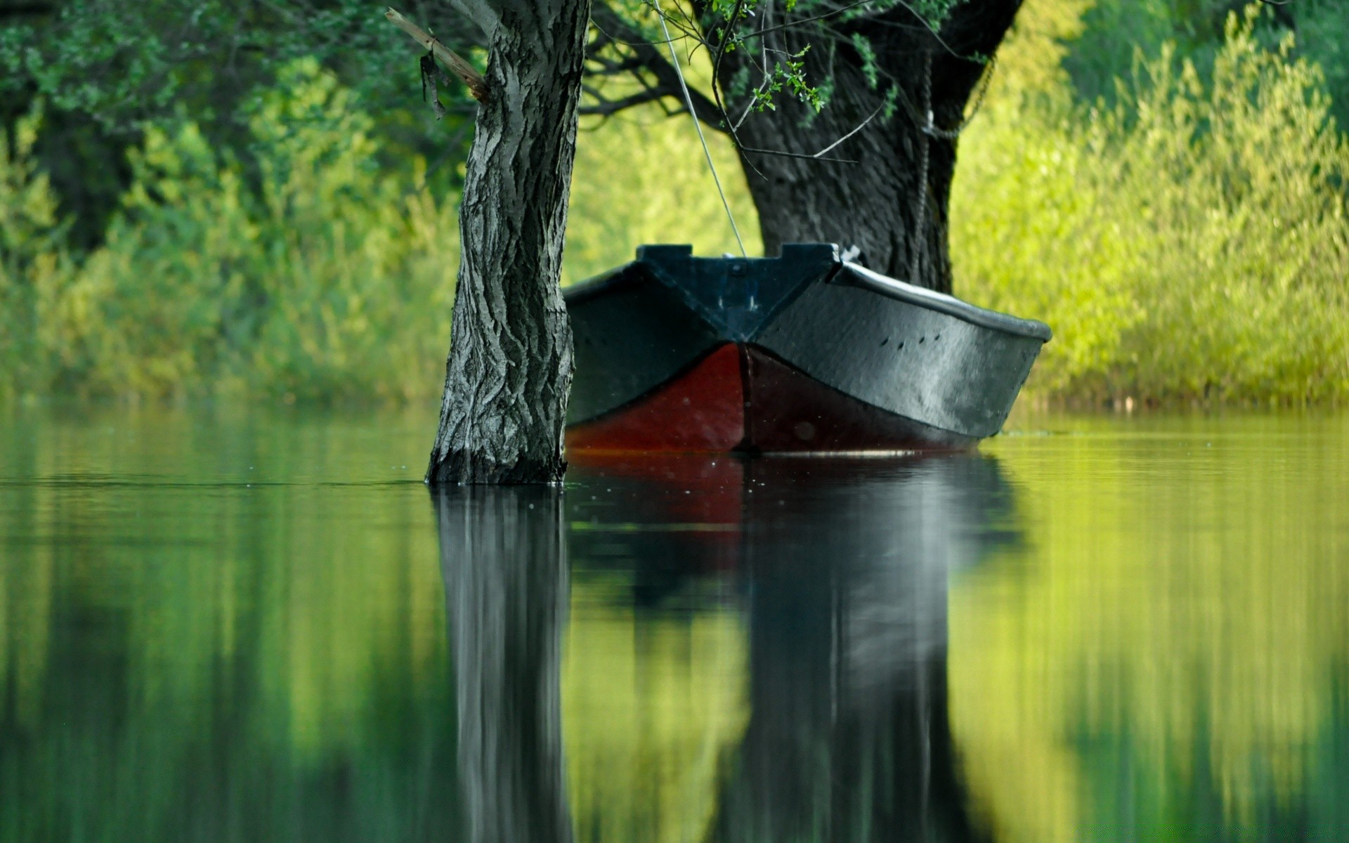 lake water outdoors nature reflection wood summer rain river landscape tree fall wet composure pool