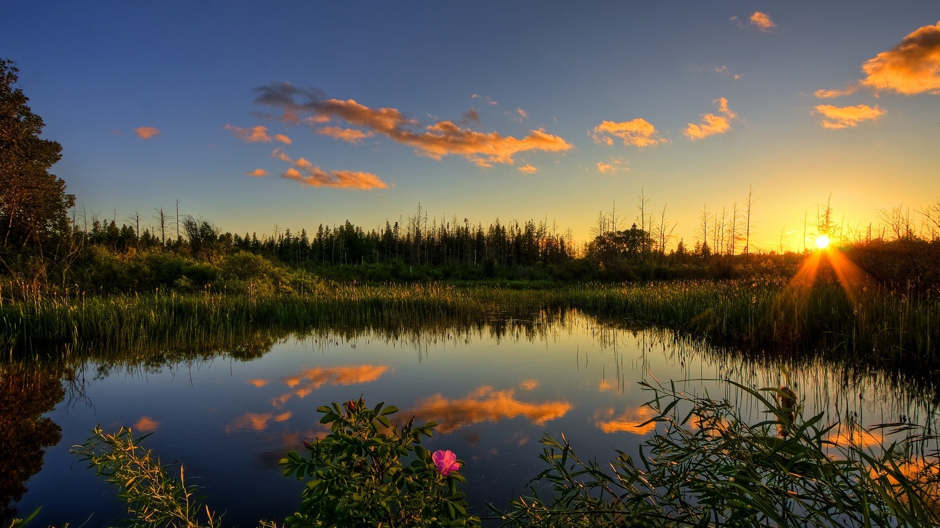 lago riflessione alba tramonto acqua paesaggio natura sera albero sole cielo fiume all aperto autunno crepuscolo bel tempo