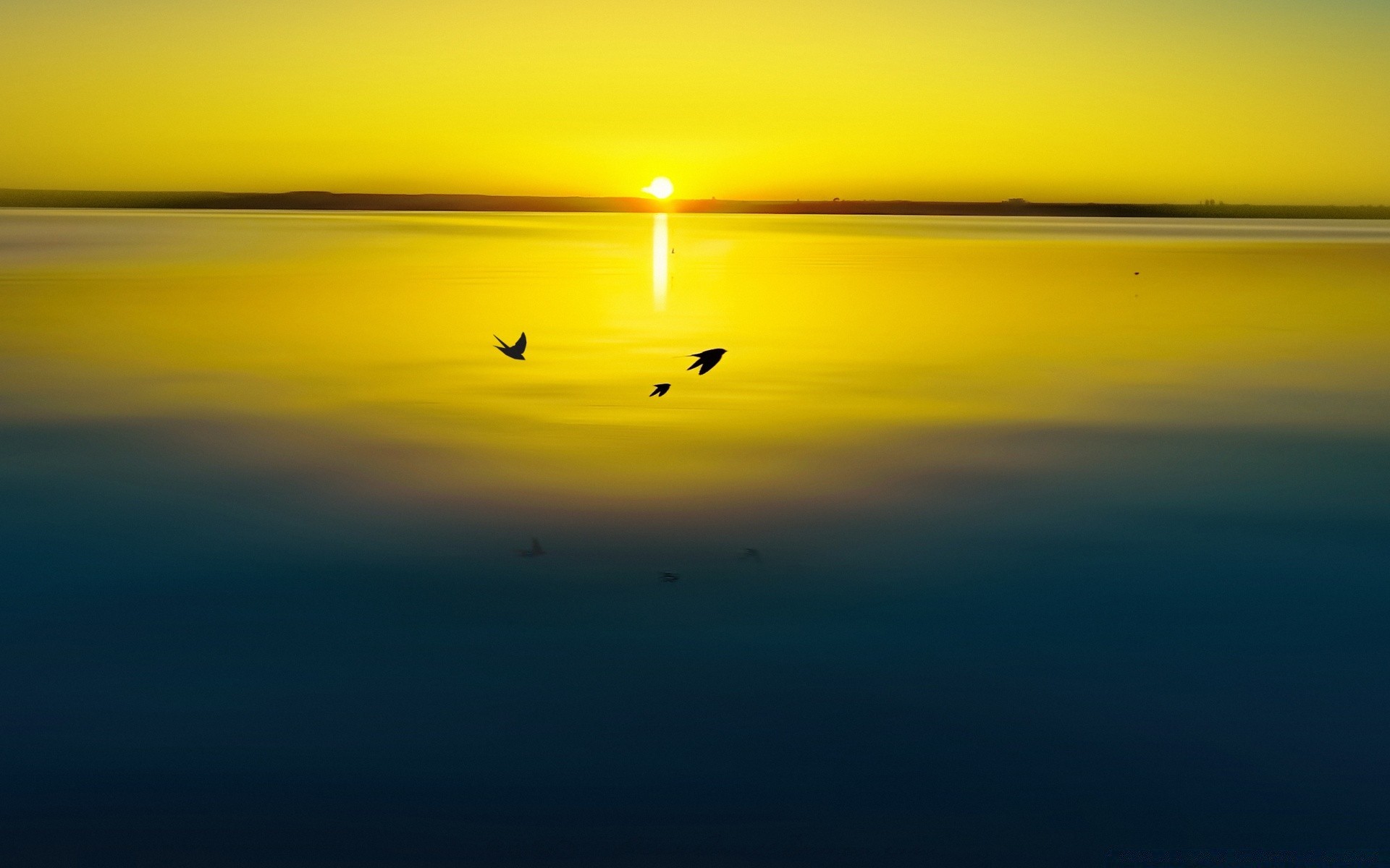 lake sunset beach sea water ocean reflection sun sky evening seascape dusk dawn light landscape wave nature seashore