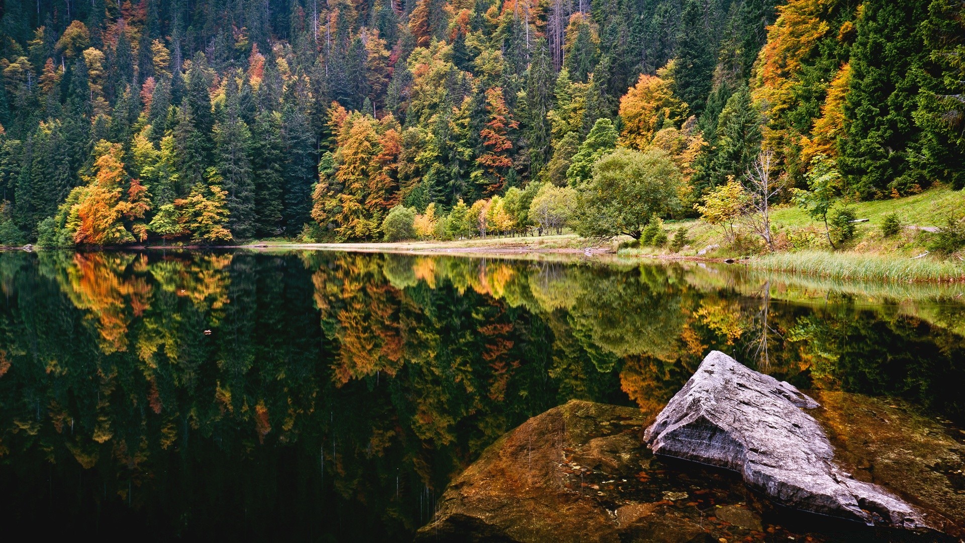 lake wood tree nature landscape fall outdoors scenic water leaf mountain river travel park scenery environment reflection daylight season