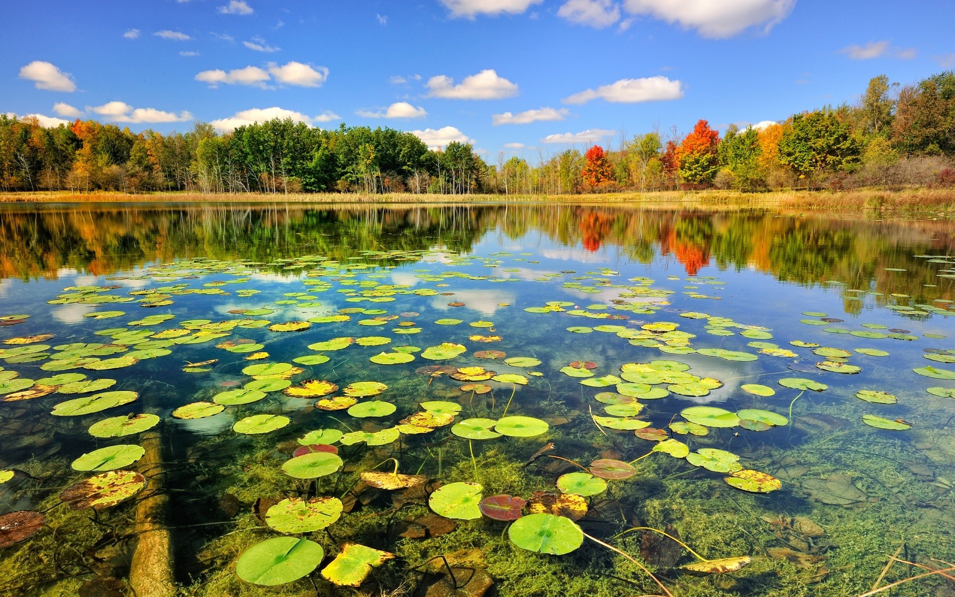 lac eau piscine réflexion paysage nature rivière bois belle scénique feuille parc arbre à l extérieur saison sang-froid ciel voyage environnement