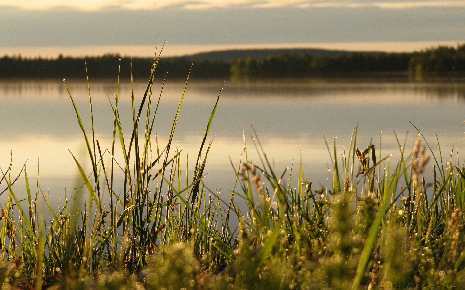 jeziora woda trawa natura krajobraz świt zachód słońca niebo słońce odbicie pole plaża lato trzcina na zewnątrz morze marsz