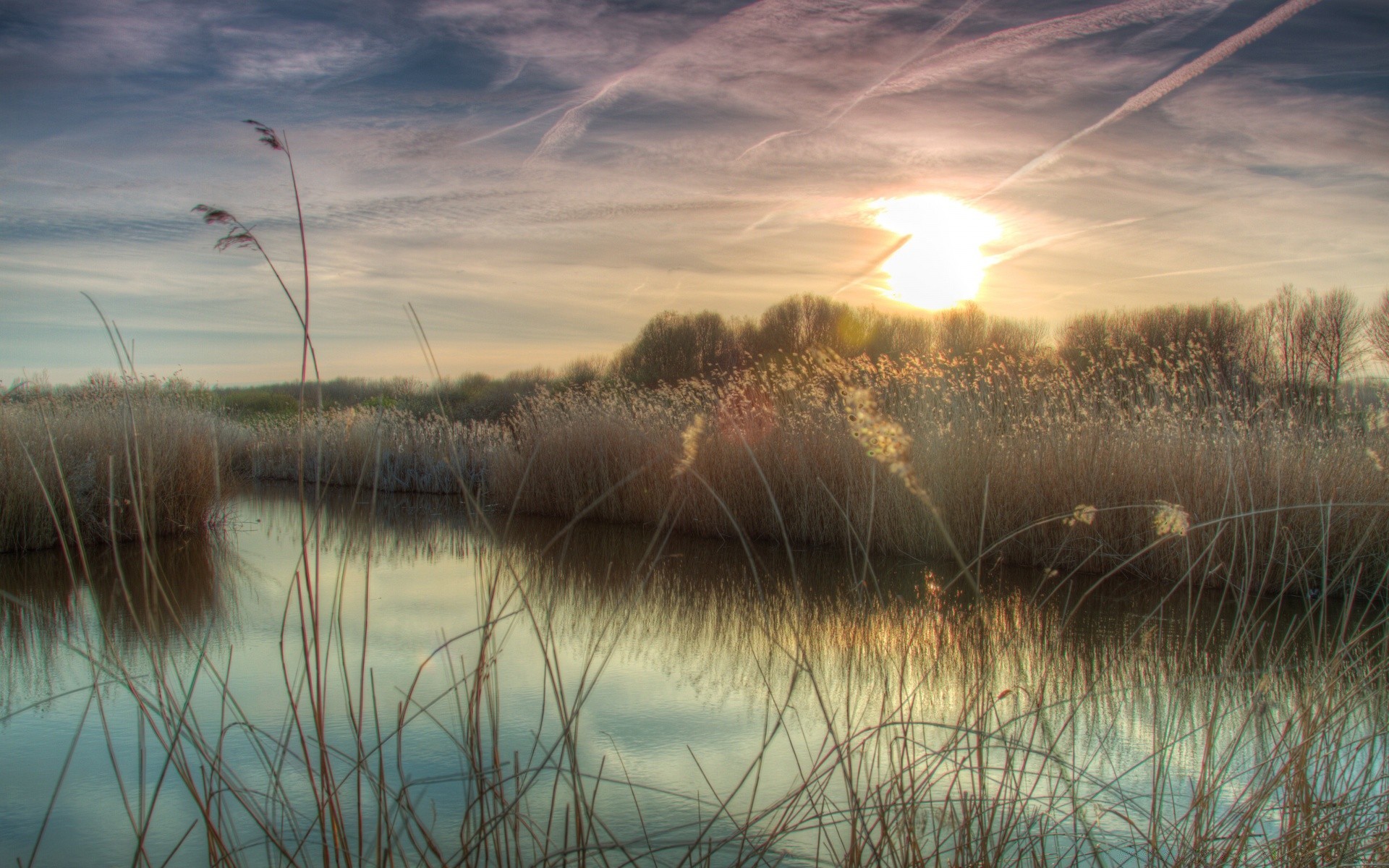 lago tramonto paesaggio alba riflessione acqua sole natura fiume reed cielo sera marcia luce bello colore spiaggia crepuscolo palude erba