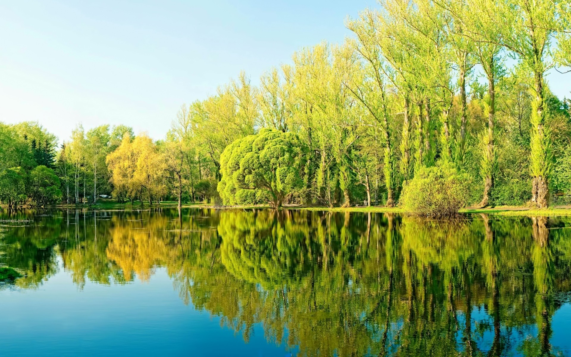 lake nature water reflection tree landscape wood summer river pool leaf season flora sky grass park scenic rural outdoors sight