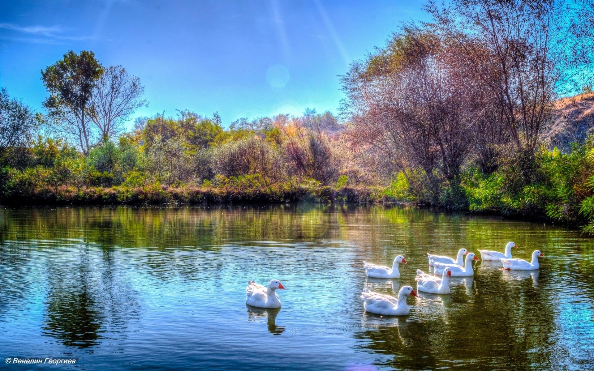 lago agua reflexión naturaleza árbol río parque paisaje al aire libre hermoso cielo verano viajes piscina madera escénico