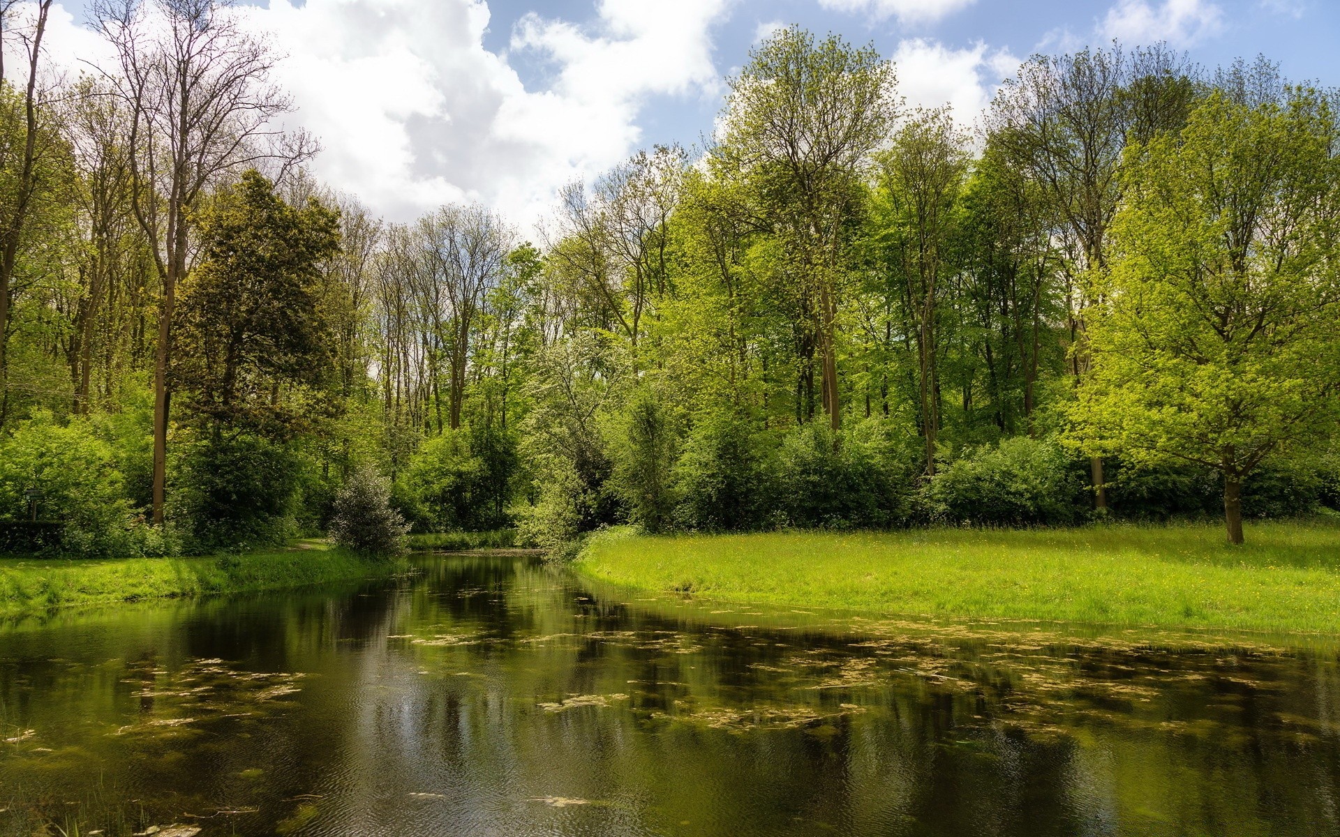 lac nature paysage bois bois herbe eau en plein air piscine rural rivière réflexion été sang-froid campagne parc environnement beau temps