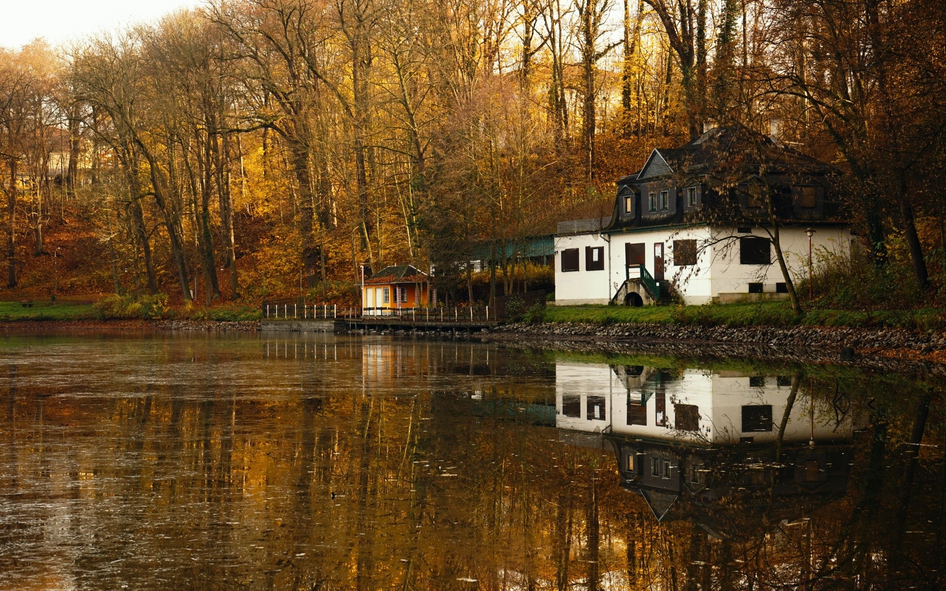 lago autunno legno acqua albero all aperto inondazione riflessione foglia natura inverno fiume casa paesaggio rurale