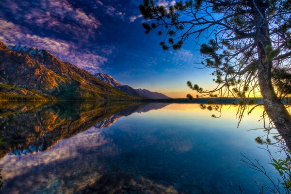 Natureza serena em um lago tranquilo