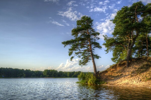 Bela paisagem de rios e árvores