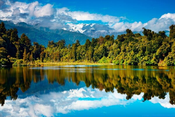 Reflexion der schönen Landschaft im Wasser