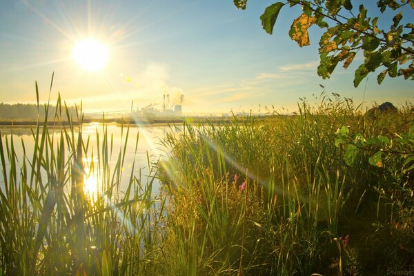 Coucher de soleil herbe lac ciel