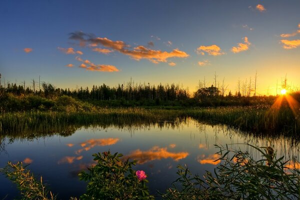 The reflection of the gentle sky on the calm surface of the water