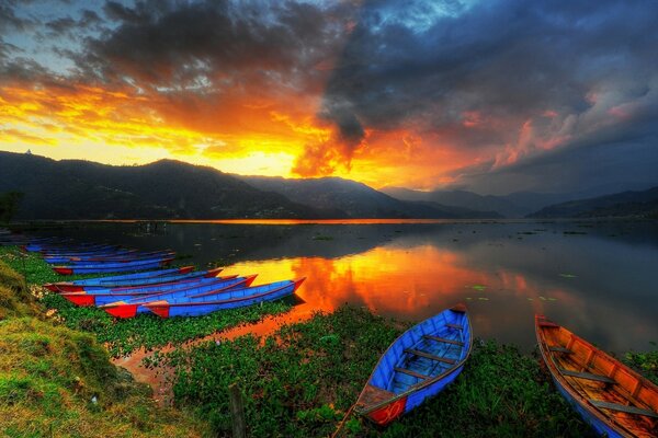 Río a la luz del sol