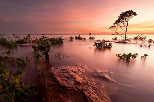 Lago tramonto sole cielo