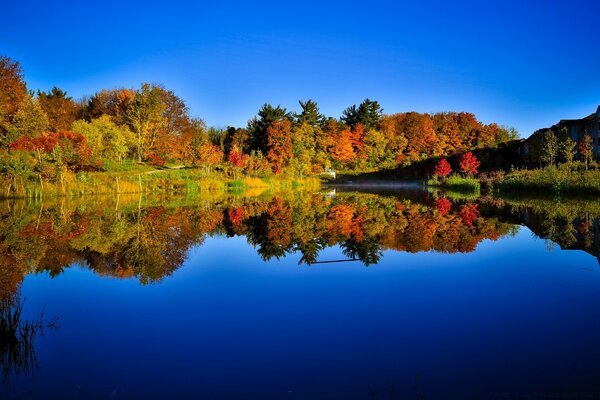 Reflection of trees in the mirror water of the lake