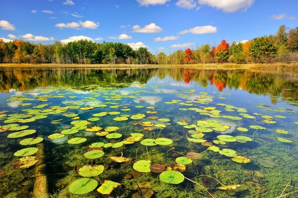 Lake with the thawing of the autumn forest