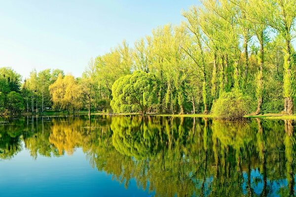 Schöne Natur im frühen Herbst