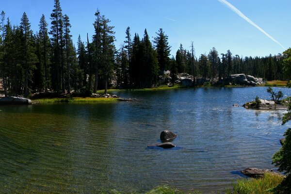 Outdoor recreation on the lake shore