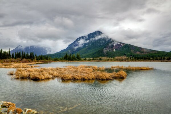 Paysage de montagne. Couleurs d automne et brouillard