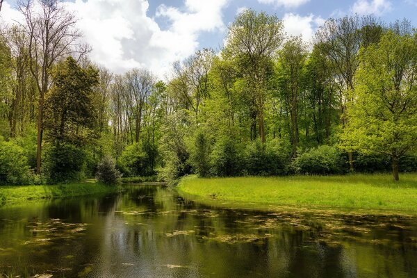 Screensaver sul desktop fiume e foresta