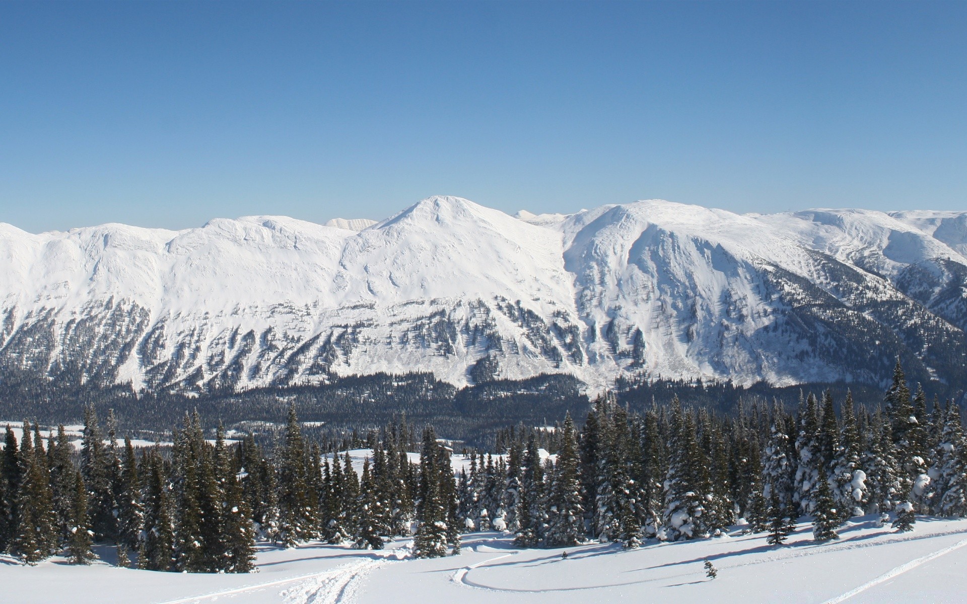 berge schnee berge winter kälte resort verschneit landschaftlich berggipfel eis hügel holz alpine gletscher panorama skigebiet skipiste verschneit tal evergreen